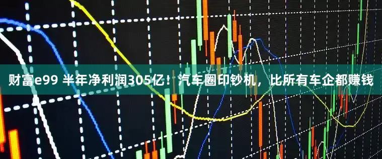 财富e99 半年净利润305亿！汽车圈印钞机，比所有车企都赚钱