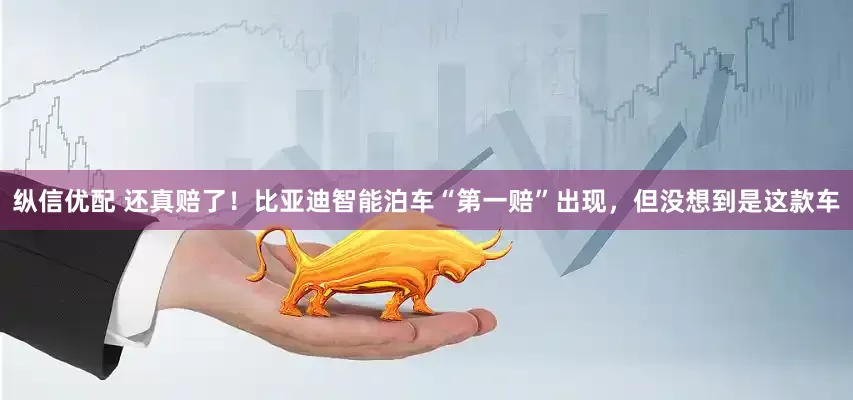纵信优配 还真赔了！比亚迪智能泊车“第一赔”出现，但没想到是这款车