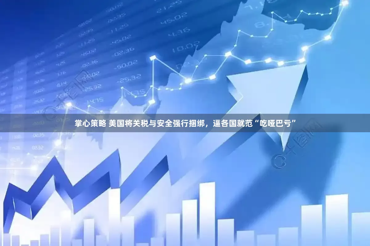 掌心策略 美国将关税与安全强行捆绑，逼各国就范“吃哑巴亏”