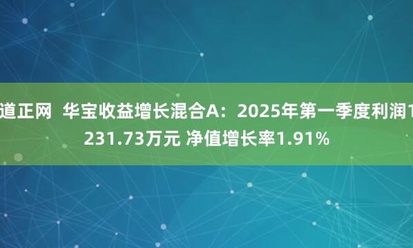 道正网  华宝收益增长混合A：2025年第一季度利润1231.73万元 净值增长率1.91%