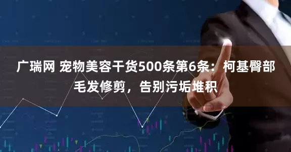 广瑞网 宠物美容干货500条第6条：柯基臀部毛发修剪，告别污垢堆积