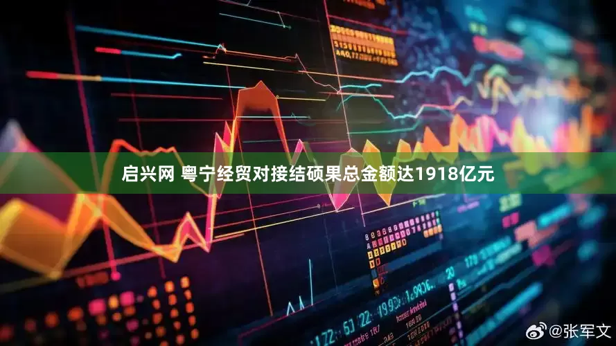 启兴网 粤宁经贸对接结硕果总金额达1918亿元